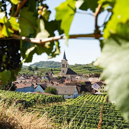 Braviscasa - Ferienresidenz Haus Am Bach Vogtsburg Am Kaiserstuhl Екстериор снимка