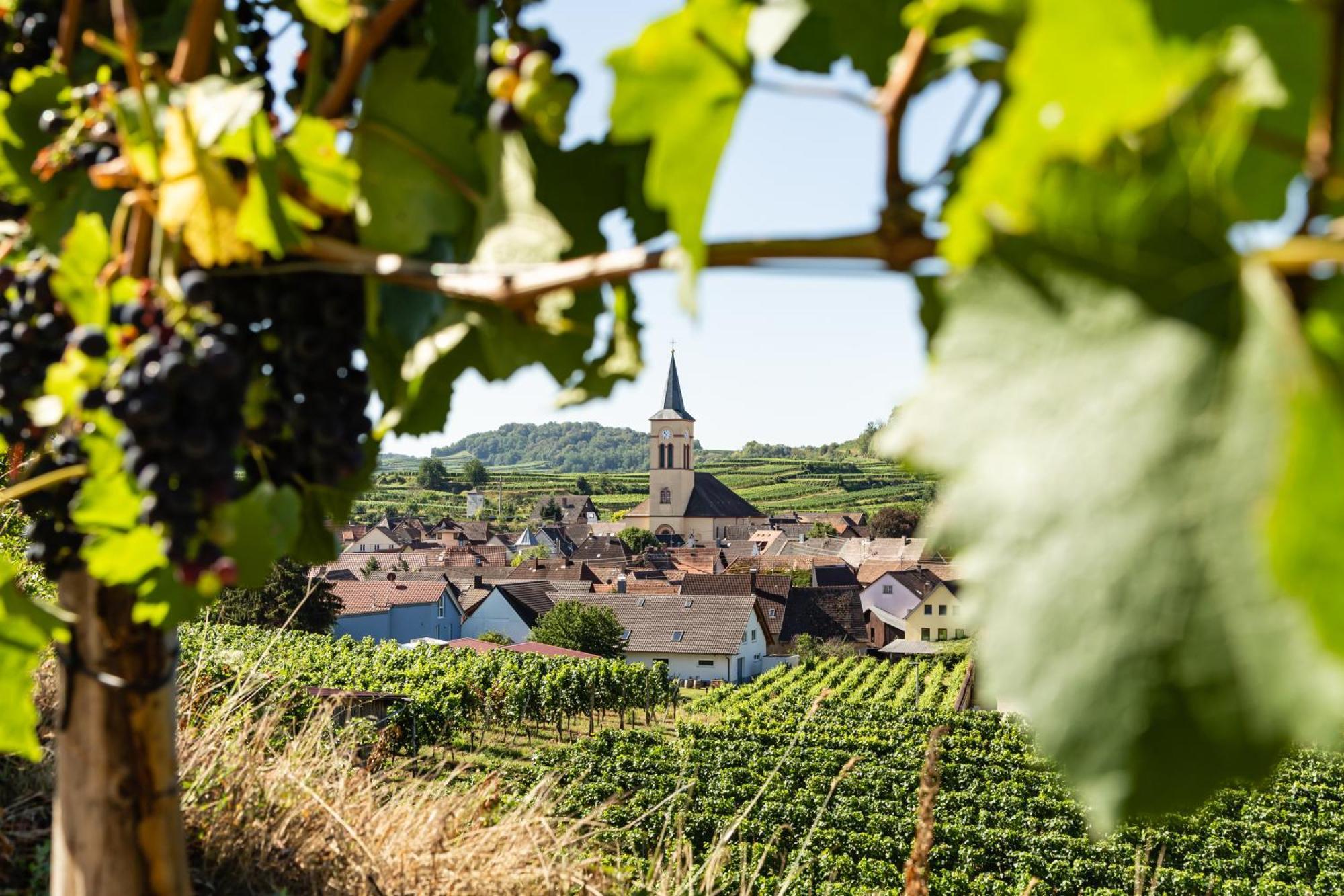 Braviscasa - Ferienresidenz Haus Am Bach Vogtsburg Am Kaiserstuhl Екстериор снимка